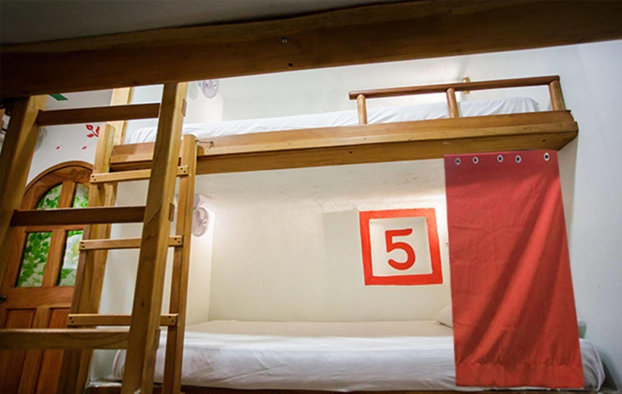 Hostel Natura Cancun Ngoại thất bức ảnh